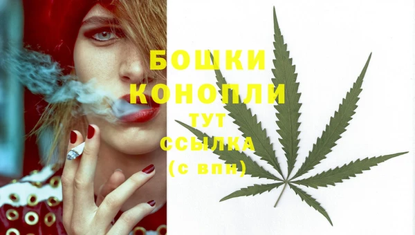 ГАЛЛЮЦИНОГЕННЫЕ ГРИБЫ Дмитров