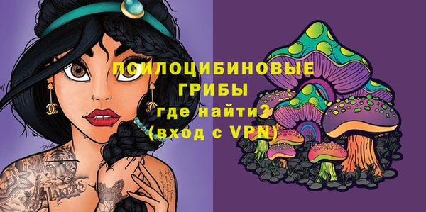 ГАЛЛЮЦИНОГЕННЫЕ ГРИБЫ Дмитров