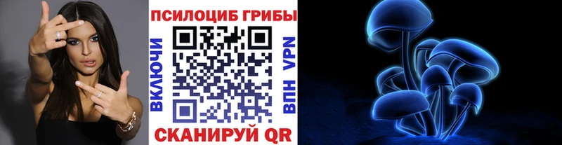 Купить закладки  Бородино  Псилоцибиновые грибы Psilocybine cubensis 